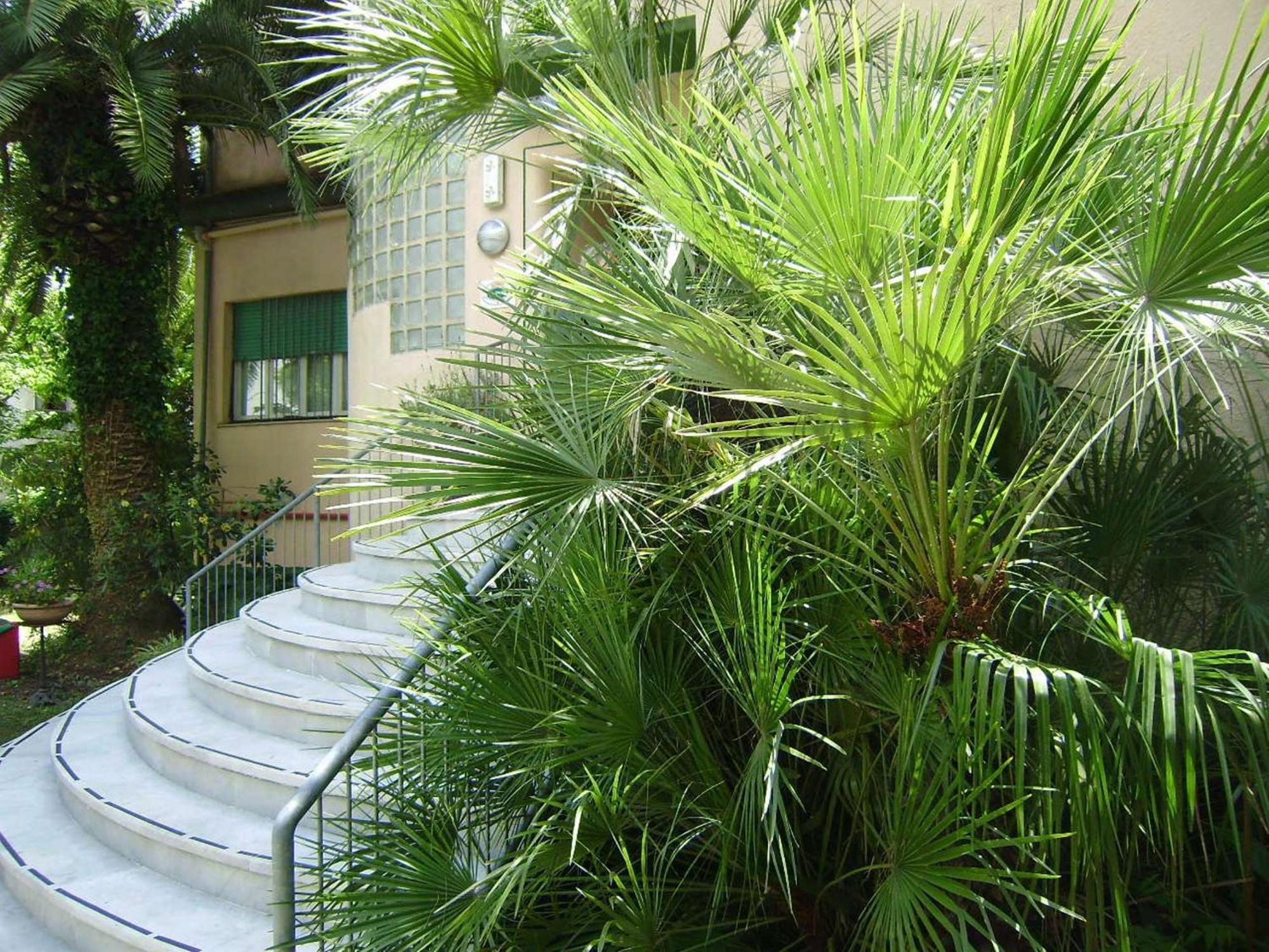 Hotel Caprice Marina di Massa
